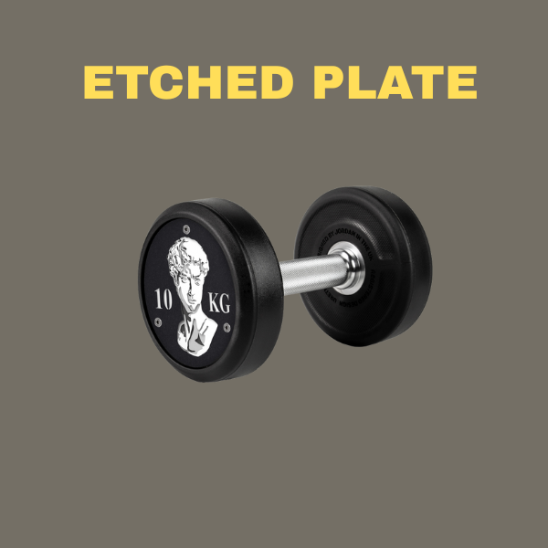 JORDAN Custom Hybrid Dumbbells (Premium Urethane)