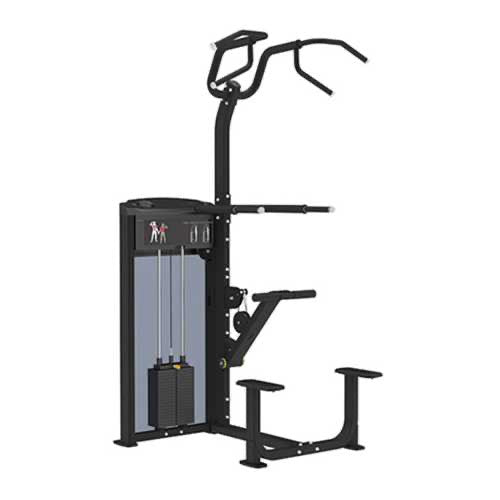 GymGear Pro Series, Assisted Chin / Dip