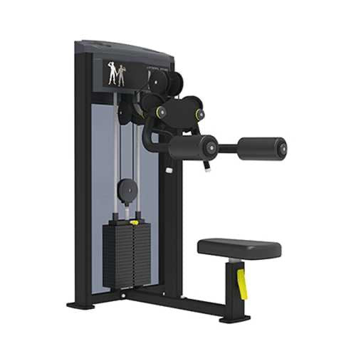 GymGear Pro Series, Lateral Raise