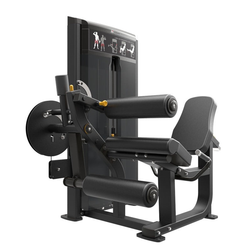 GymGear Pro Series, Leg Extension / Leg Curl