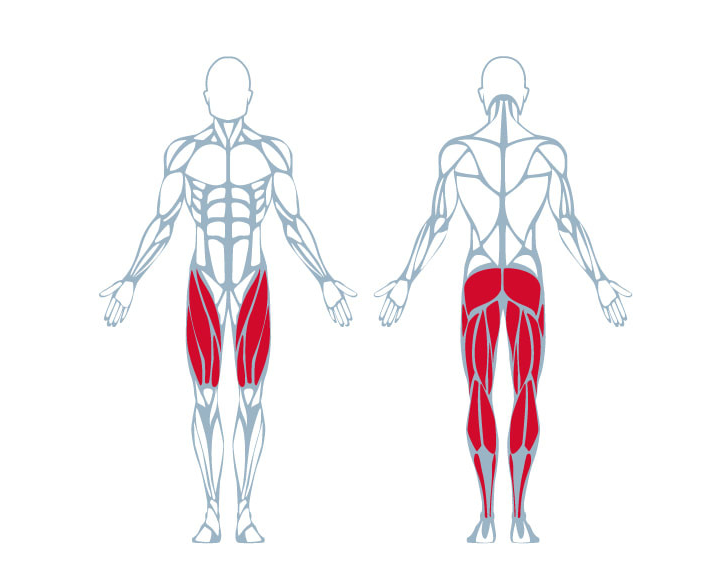 Keiser A400 Belt Squat