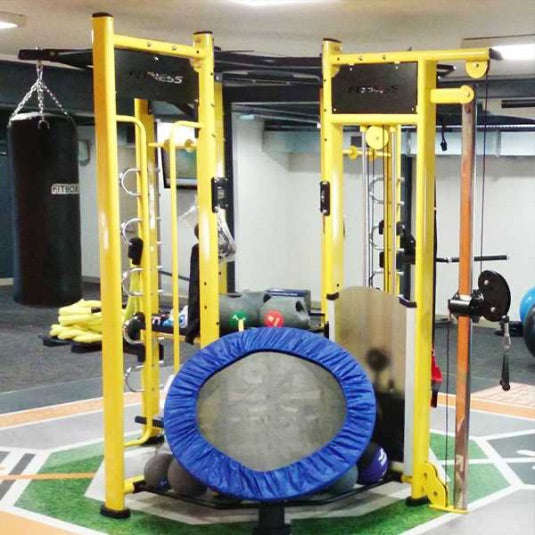 GymGear Spartan Studio Rig