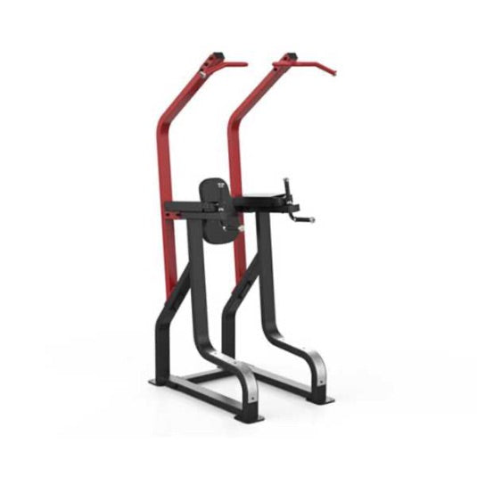 Sterling Series, Chin / Dip / Knee Raise Frame