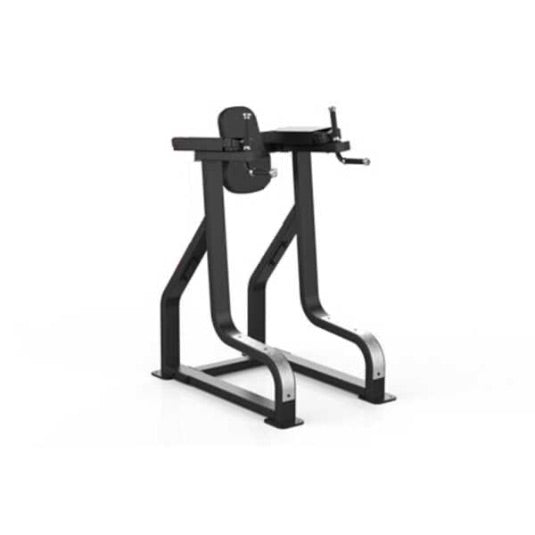 Sterling Series, Vertical Knee Raise