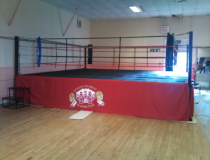 Professional Boxing Ring – Competition & Training