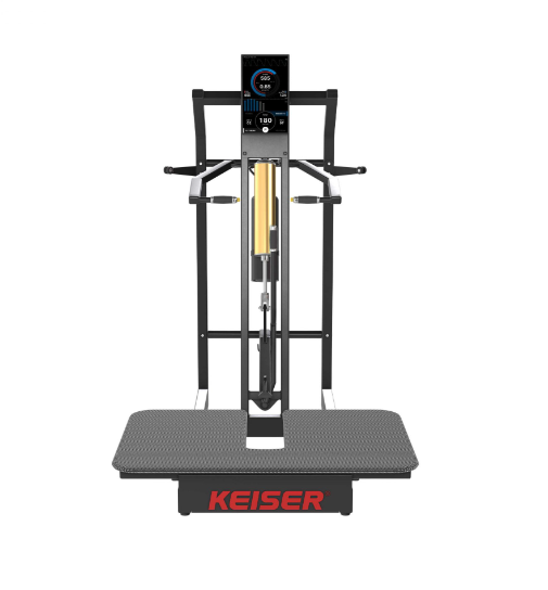 Keiser A400 Belt Squat
