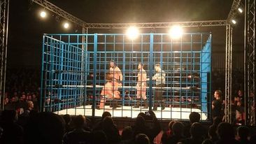 Wrestling Ring Cage – Mesh & Classic WWF Style.