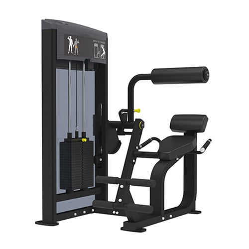Pro Series, Back Extension